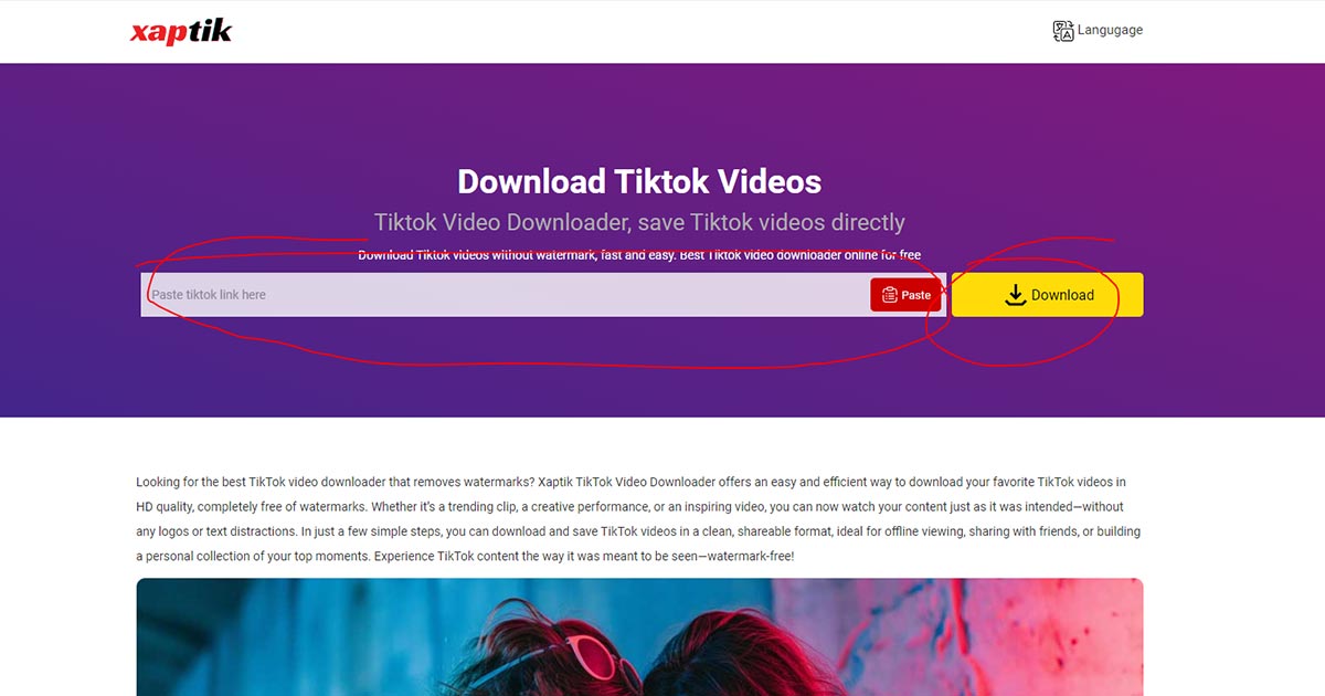 snaptiks download tiktok